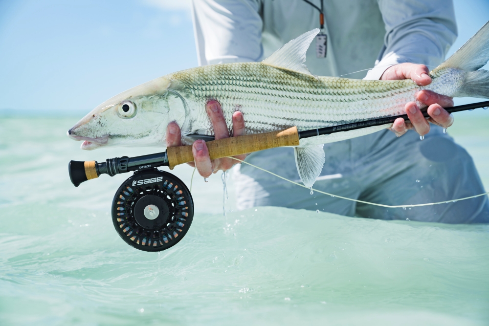 SAGE Enforcer Fly Reel with a nice bonefish